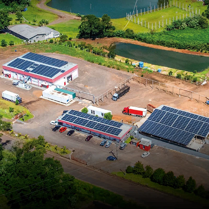 Frigorífico Primevo